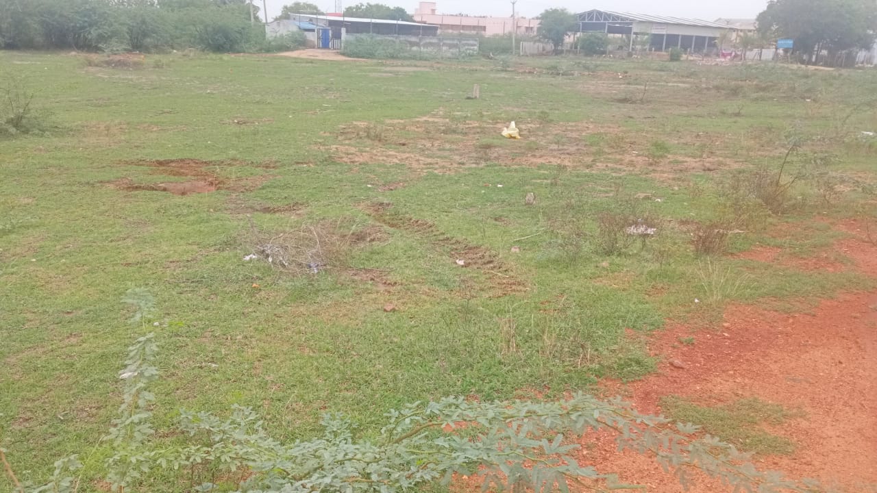 Plot